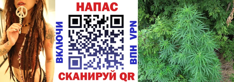 мега зеркало  Лермонтов  Бошки Шишки семена 